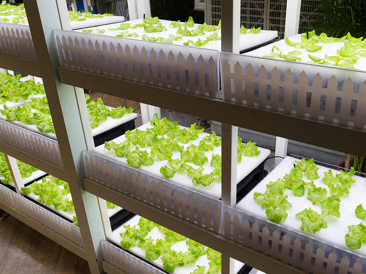 Indoor Agriculture Environments